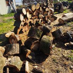 薪丸太【取引き中】2㌧トラック