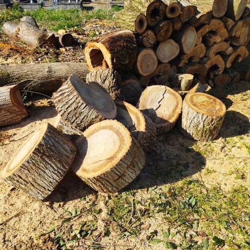 薪丸太【取引き中】2㌧トラック