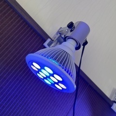 サンゴ蛍光反応促進アクアリウム用 