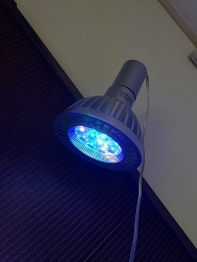 サンゴ蛍光反応促進アクアリウム用