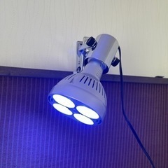 サンゴ蛍光反応促進アクアリウム用 