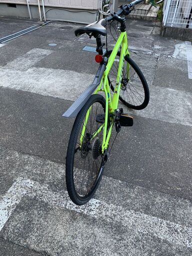 TREK FX3 Disk 2019年モデル サイズ:L カラー:Volt 【公式通販】