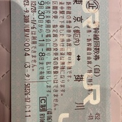 【ネット決済・配送可】急ぎ‼️ 新幹線　回数券　2枚　東京⇔掛川...