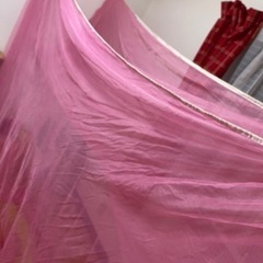 ピンク蚊帳