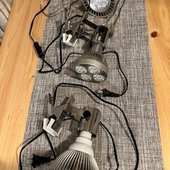 サンゴ蛍光反応促進アクアリウム用 