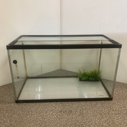 GEX 60cm 水槽 すいそう 状態込み 中古