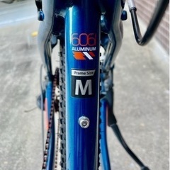京都市内引渡し限定】GT ジーティー 2023年モデル PALOMAR ALLOY 