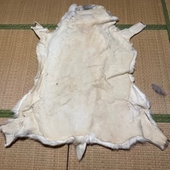 潔世一 缶バッジ-トナカイの毛皮　敷物　壁掛け