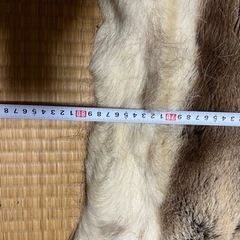 潔世一 缶バッジ-トナカイの毛皮　敷物　壁掛け