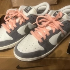 着用回数1回❗️Yuto Horigome Nike SB Dunk Low