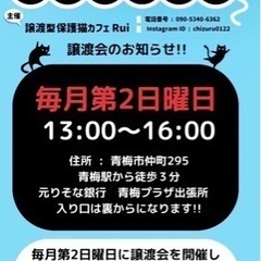 青梅プラザ保護猫譲渡会