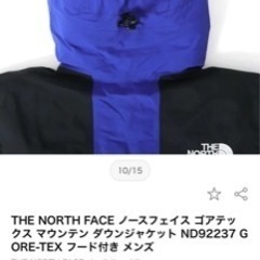 THE NORTH FACE GORE-TEX ダウンジャケット　XS