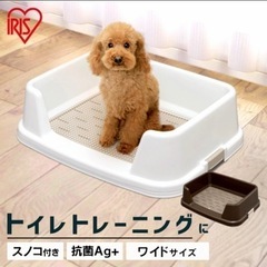 犬用トイレ　ブラウン　トイレトレーニング　ワイド　ブラウン