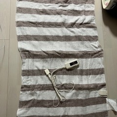 電気毛布 (小型)