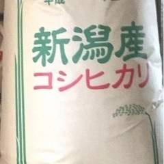食品令和5年産 新潟県産 コシヒカリ 玄米 20ｋｇ   