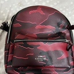 【ネット決済】COACH