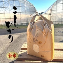 🌾新米🌾   令和5年  コシヒカリ 5kg   ¥1500