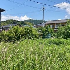 これからの時期が草刈りのシーズンです。　刈谷市にある『草刈...