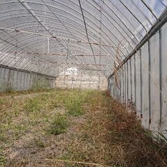 中古ビニールハウス！