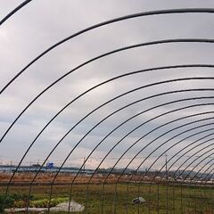 中古ビニールハウス！