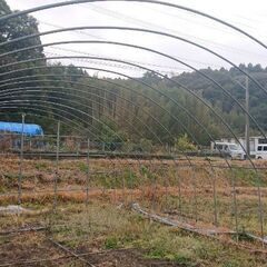 中古ビニールハウス！