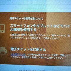 神韻シェンユン公演 さいたま市チケット2枚