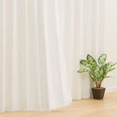 ニトリ　カーテン　ディナ　サイズ：幅100×丈190cm×2枚