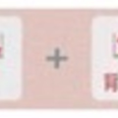 フランスベッド 介護ベッド