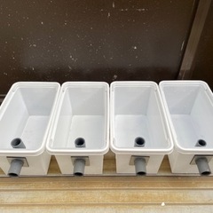 ⬇️値下げ⬇️🐟水槽🐟メダカ飼育に容器4個セットいかがですか❓⬇...