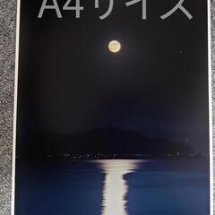 A4写真「月の道」