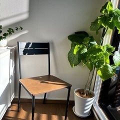 IKEA 【SANDSBERG】 椅子 6脚セット