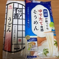 うどん、ソーメンセット②