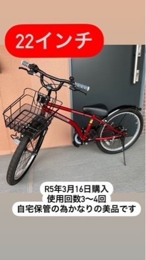 【22インチ】ドライドビート自転車