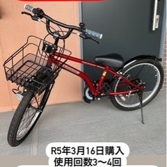【22インチ】ドライドビート自転車