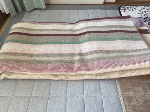ニトリ折りたたみカーペット　 200＊200cm
