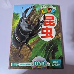 学研の昆虫図鑑　DVDつき