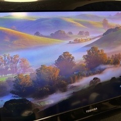 TOSHIBA REGZA TV テレビ本体