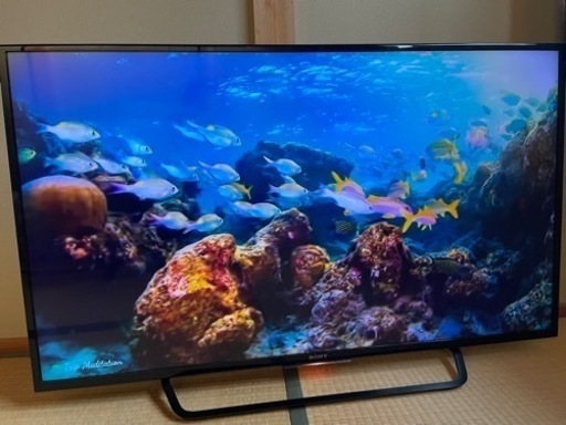 2016年製 SONY ブラビア 4kテレビ 49インチ KJ-49X8000C