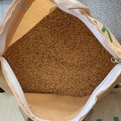 🌾🌾令和5年収穫米 ヒノヒカリ(籾) 1袋🌾🌾