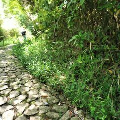 1月20日(土)生駒山ゆる登山参加メンバー募集😉