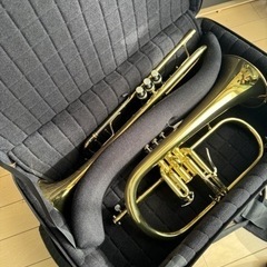 【購入者決まりました】🎺トランペットトリプルケース🎵(楽器は付き...