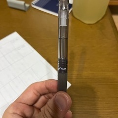 このペンを探しています。