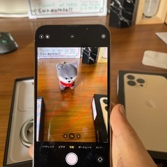 IPhone 13pro max SIMフリー ⭐️値下げ中