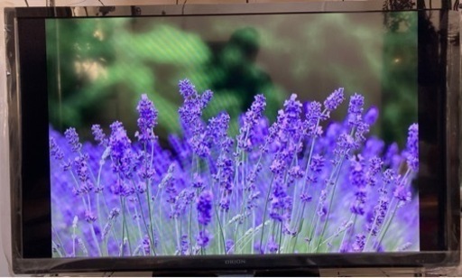ORION 50インチ　テレビ