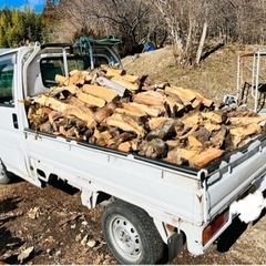 大好評⭐︎薪　軽トラ積み放題！！！先着1名