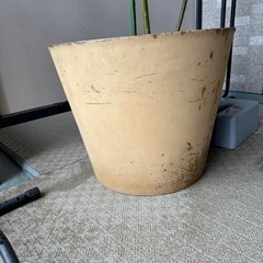 植物 植木鉢カバー サイズ50cm / 観葉植物