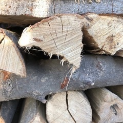 カシ乾燥薪⭐︎長さ約360mm☆ビニールハウス乾燥⭐︎軽トラック一杯30000円