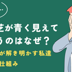 隣の芝が青く見えてしまうのはなぜ？ ブッダが説き明かす私達の心の仕組み