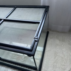 グラステラリウム6030③