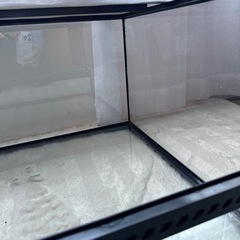 グラステラリウム6030③